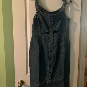 Overall Denim Dress
